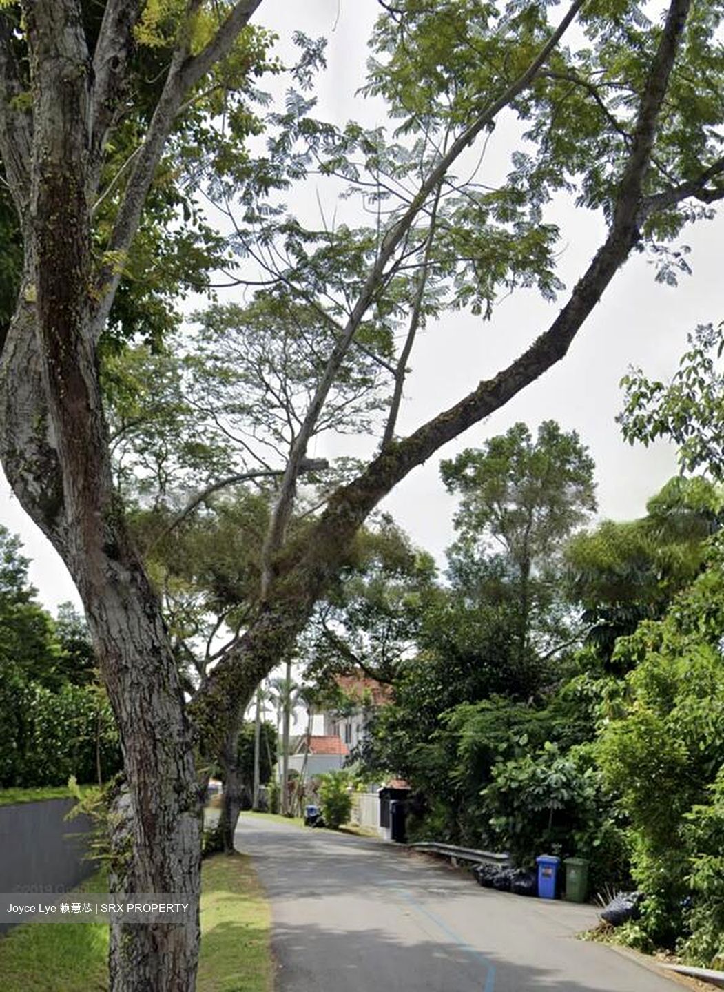 Belmont Road (D10), Detached #476742471
